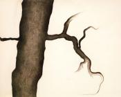 乔治亚 奥基夫 : Drawing III